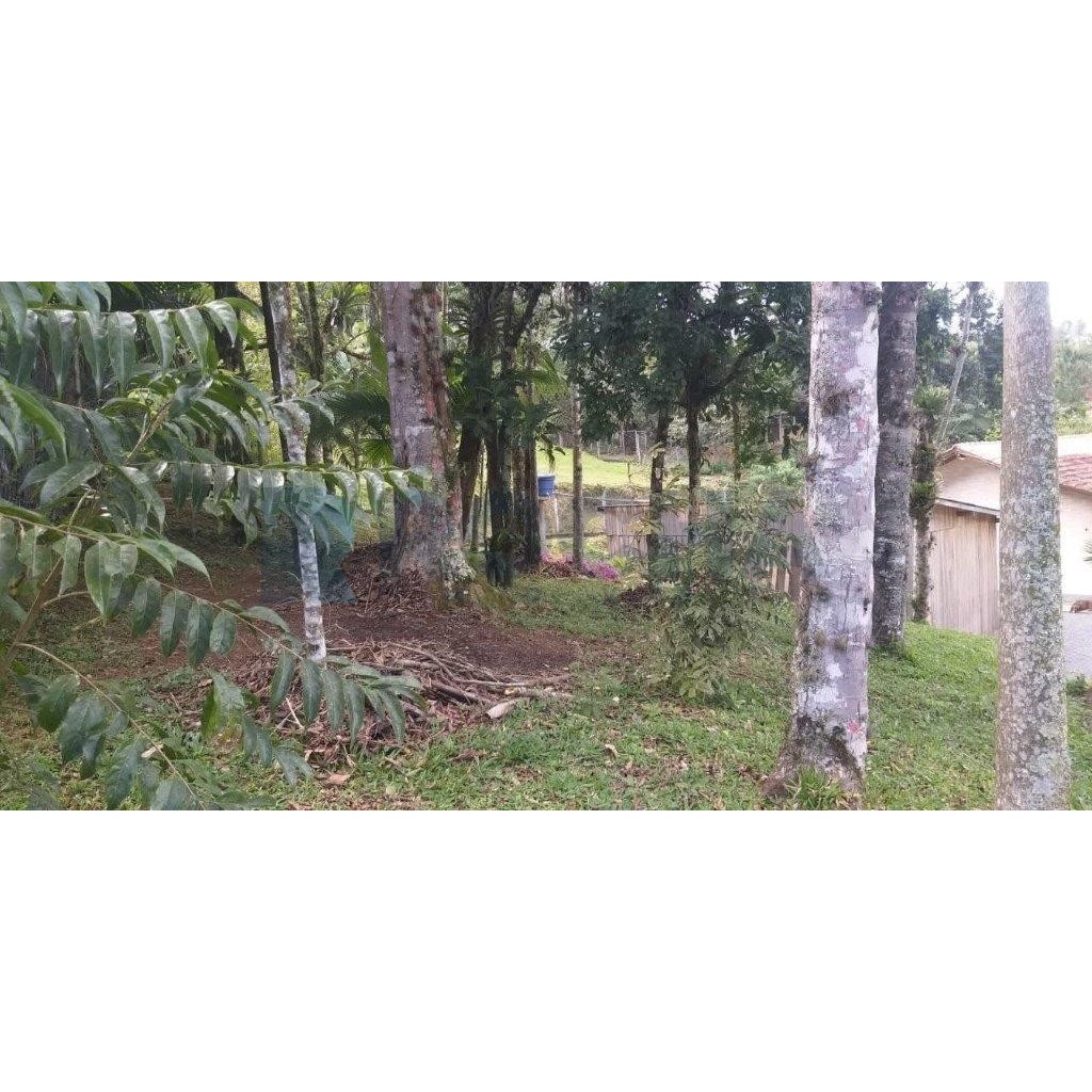 Sítio, 3 quartos, 200 m² - Foto 15