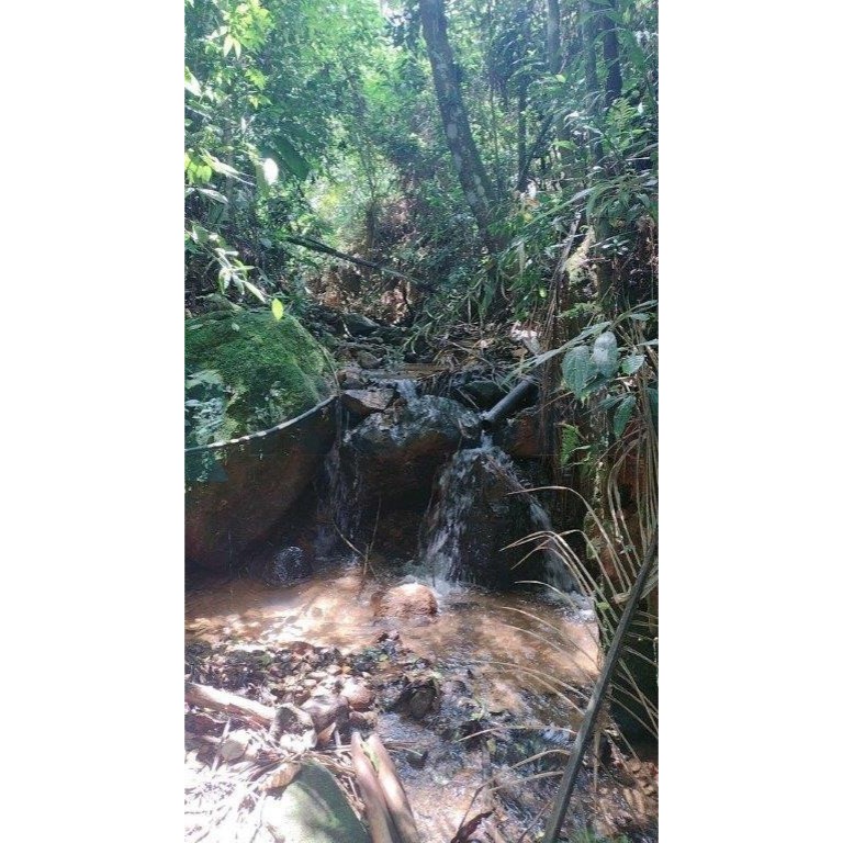 Sítio, 3 quartos, 200 m² - Foto 16