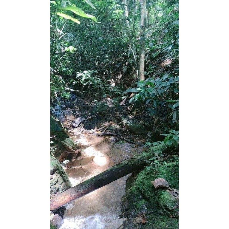 Sítio, 3 quartos, 200 m² - Foto 17