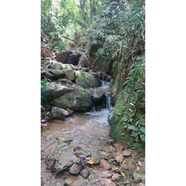 Sítio, 3 quartos, 200 m² - Foto 19